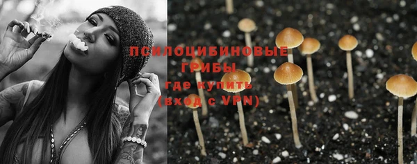 скорость Арсеньев
