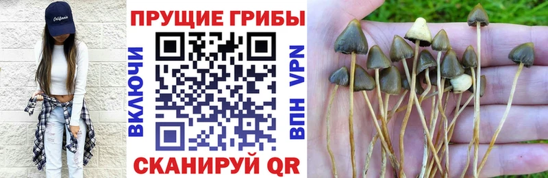 Галлюциногенные грибы Magic Shrooms  Светлоград 